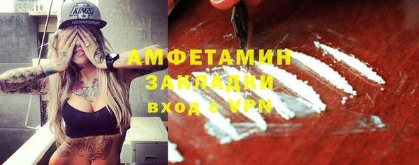 гидра Богородск