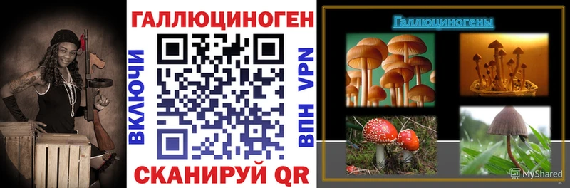 Псилоцибиновые грибы мицелий  Комсомольск-на-Амуре 